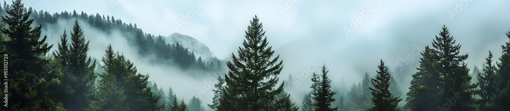 “Misty Forest Landscape with Tall Trees and Foggy Mountain Peaks, Creating a Mysterious and Tranquil Scene, Perfect for Nature Photography and Atmospheric Landscapes with Emphasis on Depth and Serene “Misty Forest Landscape with Tall Trees and Foggy Mountain Peaks, Creating a Mysterious and Tranquil Scene, Perfect for Nature Photography and Atmospheric Landscapes with Emphasis on Depth and Serene