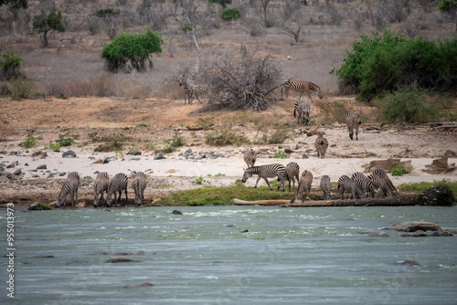 Zebre al Fiume photo