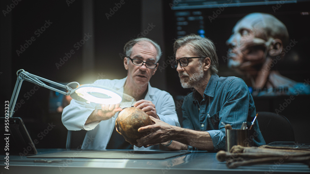 Two archaeologists take measurements of ancient human skull, study fossil remains, use tablet computer. Scientists or historians conduct scientific research in advanced archaeological lab at night. Two archaeologists take measurements of ancient human skull, study fossil remains, use tablet computer. Scientists or historians conduct scientific research in advanced archaeological lab at night.