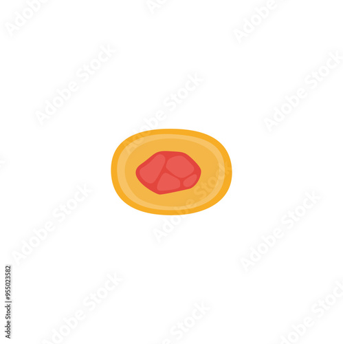 Peroxisome Structure Illustration