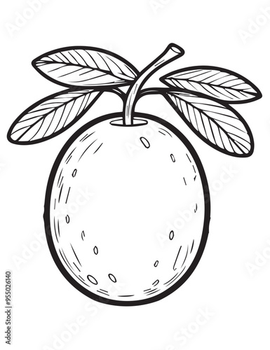 Illustration Coloring draw fruit plum black and white version good for kids