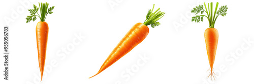 Vibrant orange carrots with green tops, showcasing freshness and health. Ideal for nutrition, cooking, and farm-related themes. photo