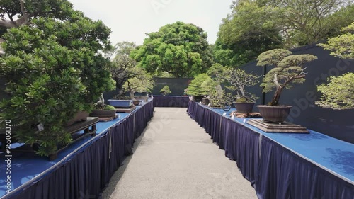 Various types of bonsai trees displaying at the Royal Floria Putrajaya 2024 Malaysia.