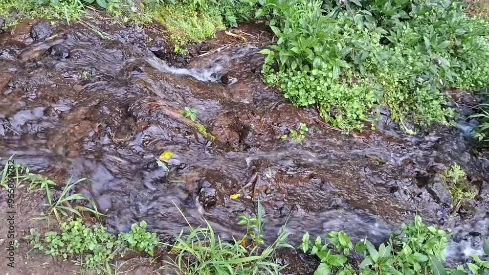Natural water flows between rocks and plants Natural water flows between rocks and plants