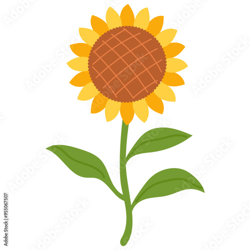 sunflower illustration 
