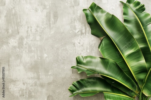 Flat lay frame with colorful banana leaves  on the grey cement background with ample copy space image. isolated pastel backdrop. colorful desktop wallpaper with banana leaves photo