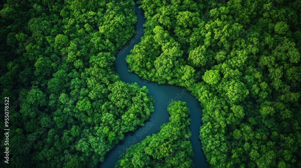 Aerial View of a Winding River Through Lush Green Forest Aerial View of a Winding River Through Lush Green Forest