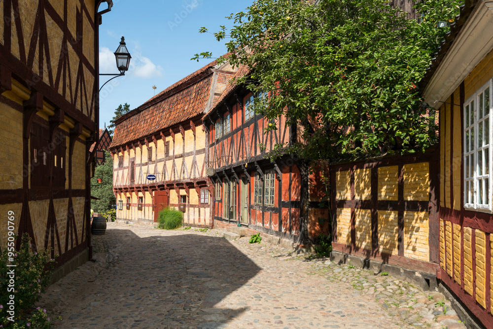 Fototapeta premium Den Gamle By, Aarhus, Dänemark