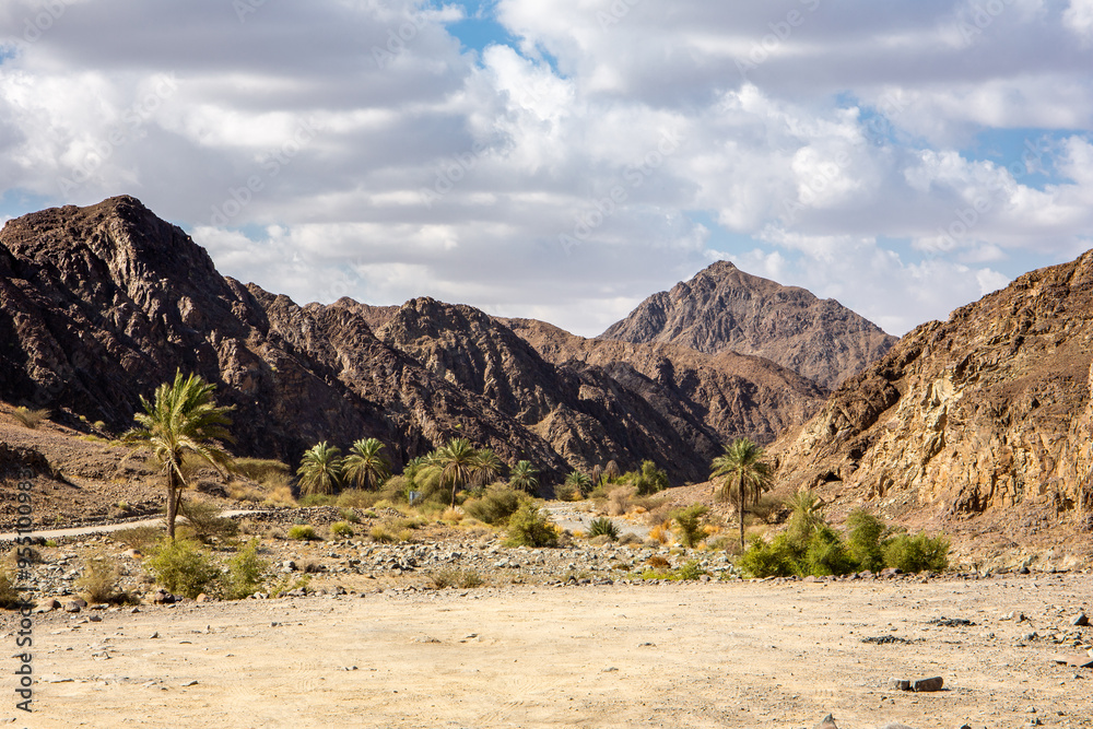 Φωτογραφία Wadi Shawka riverbed in Hajar Mountains, with oasis, palm trees and plants, rocky limestone mountains in the background, United Arab Emirates