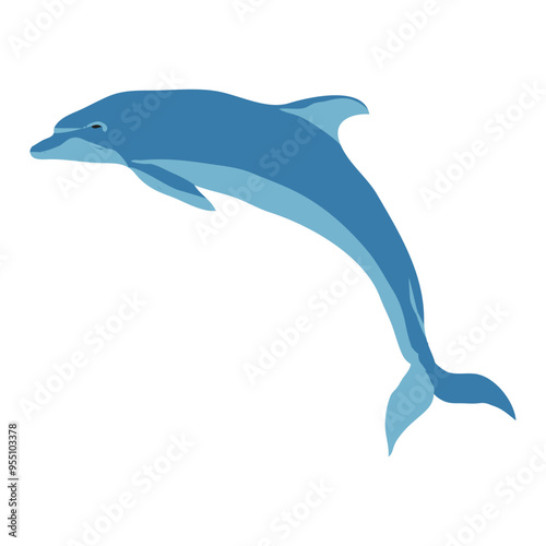 dolfin clipart or illustration isolated on a transparent background.