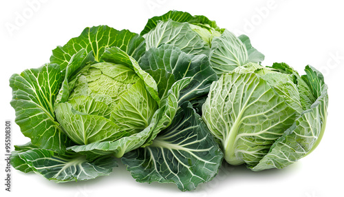 Green cabbage isolated on white background with clipping path and full depth of field