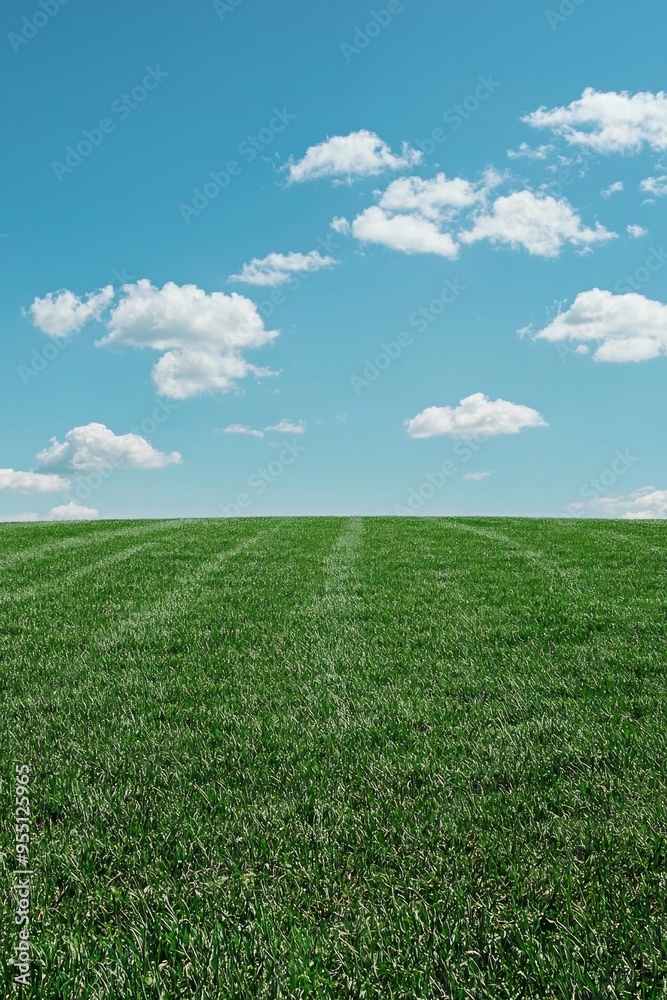 A well-trimmed green grass field with blue sky A well-trimmed green grass field with blue sky
