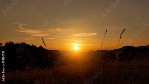 Summertime mountain fields landscape with flowers.