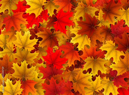 Collage of vibrant autumn maple leaves in red, orange, and yellow tones. Vector illustration.