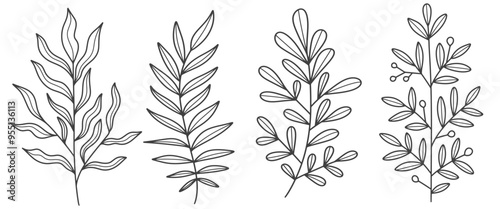 Set of leaves. Hand drawn decorative elements. Vector illustration