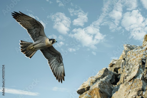 A striking image of a peregrine falcon soaring high above a rocky cliff.