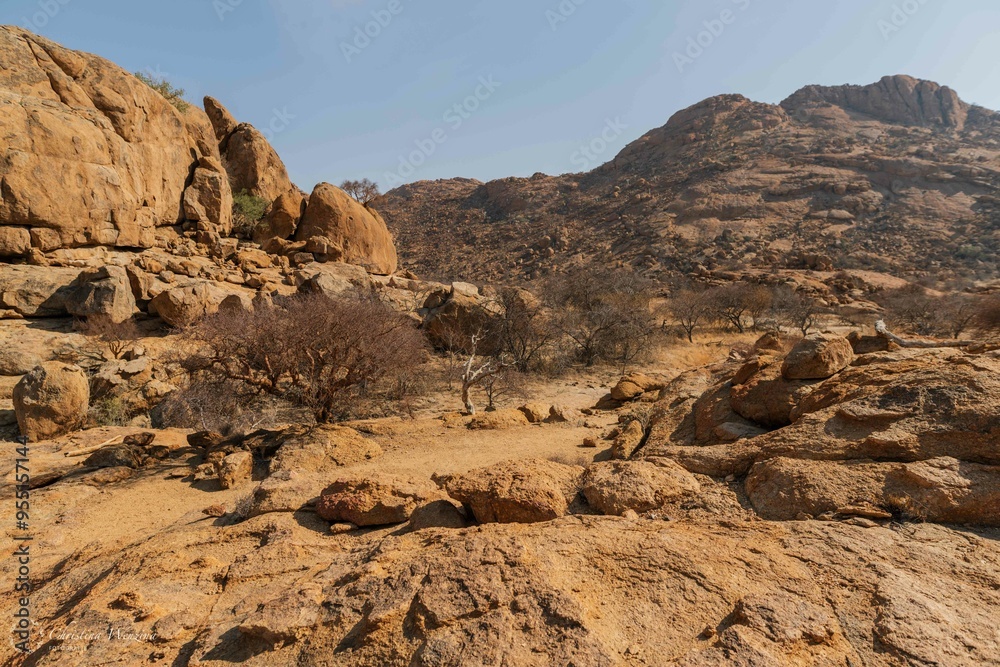 Fototapeta premium Namibia