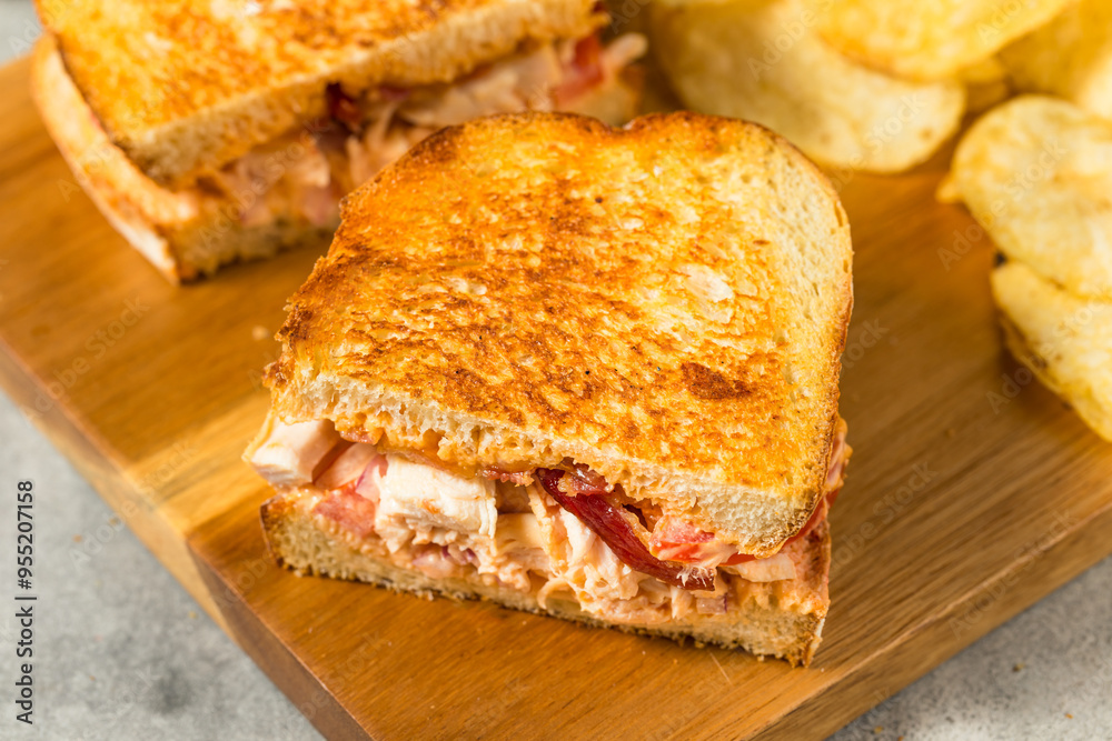 Spicy Homemade Chipotle Chicken Sandwich Panini Spicy Homemade Chipotle Chicken Sandwich Panini