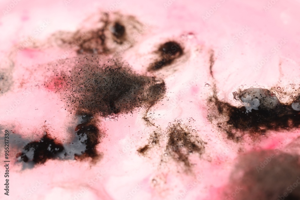 Fototapeta premium Sample of bacteria culture as background, macro view
