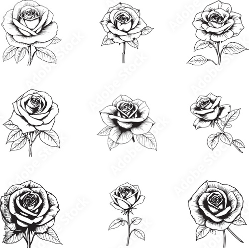 Rose vector illustration, Black and white rose flower vector illustration. Simple rose blossom icon set. Nature, gardening, love, Valentine's day theme design element.
