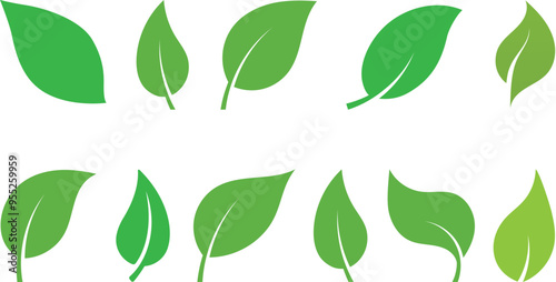 Eco nature green color leaf icons set collection