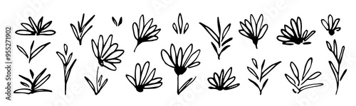 Hand drawn vector set of floral elements. Flowers, leaves and twigs, blades of grass. Nature and vegetation, plants.. Ink sketch.