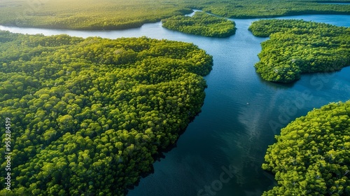 Avian Oasis: Mangroves Embrace Island Shores