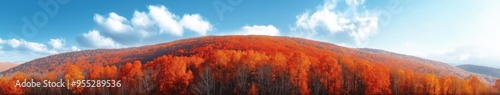 Rolling Hills in Autumn with Orange Trees