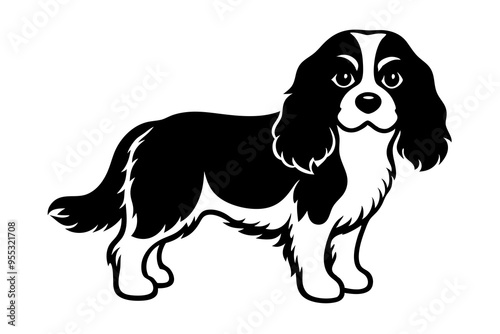 Cavalier King Charles Spaniel Vector Illustration - Elegant Companion Dog Clipart photo