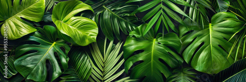 Lush green leaves create vibrant and tropical atmosphere, showcasing various textures and shapes. 