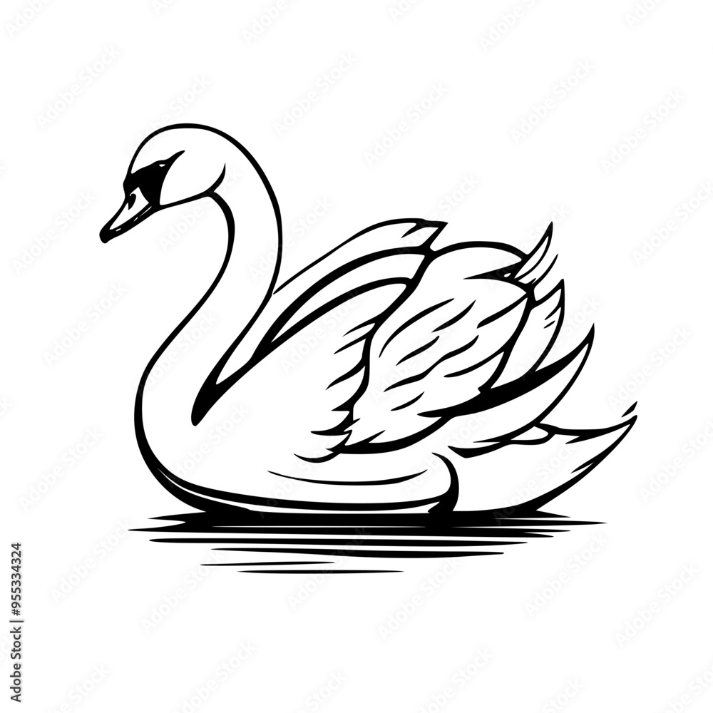 Fototapeta premium black swan on white background