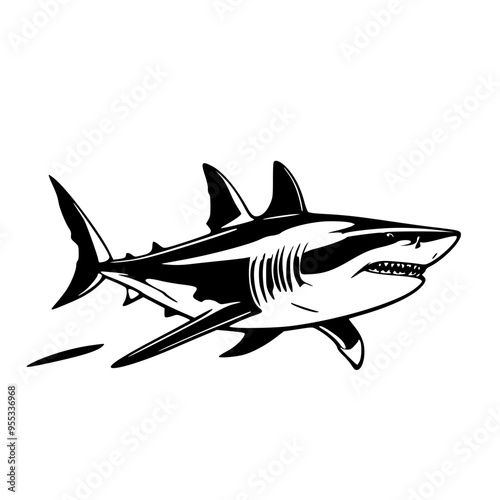 shark vector illustration