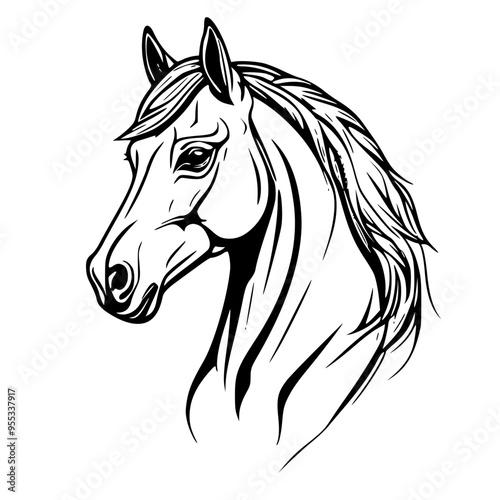 horse illustration