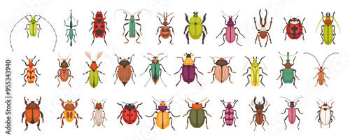 Variety of bugs and beetles types and kinds. Colorful insects of various shapes. Nature and biodiversity insects species. Beetle set vector flat illustration.