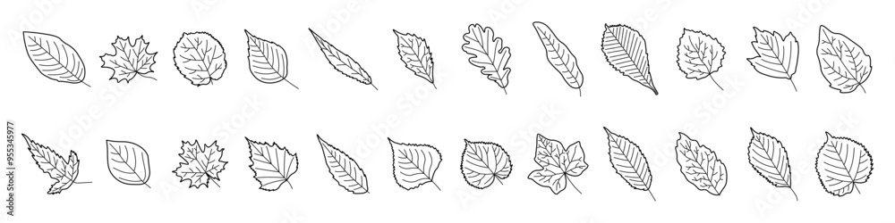 Obraz premium Leaf icon set. Leaves silhouette icon. Linear style.