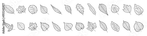 Leaf icon set. Leaves silhouette icon. Linear style.