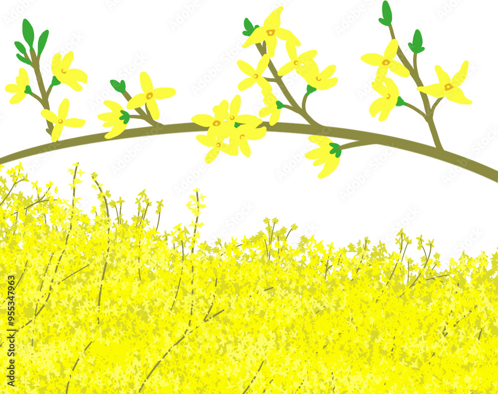 Obraz premium 개나리