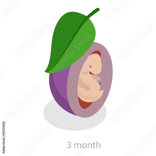 3D Isometric Flat Vector Illustration of Embryo Monthly Growth Stages, Human Fetus Development. Item 2