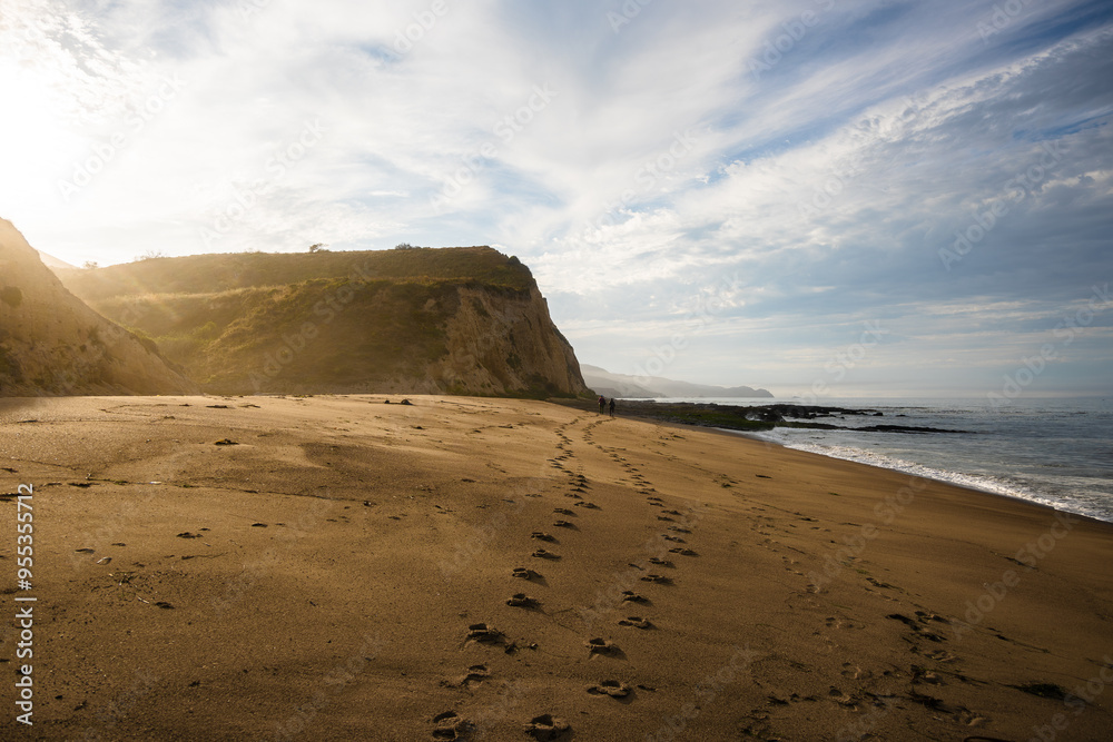 Morning at the Beach, Point Reyes