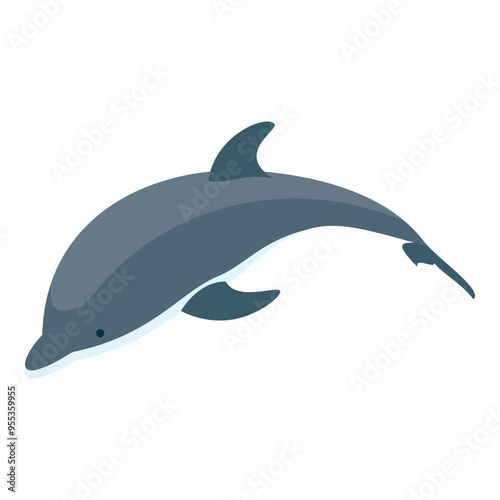 3D Isometric Flat Vector Set of Types Of Dolphins, Educational Classification. Item 8