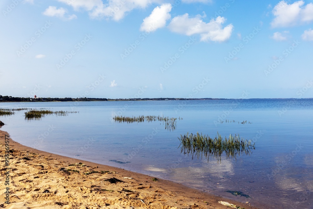 Quiet photo shot on the banks of the Wadden side on the island of Sylt