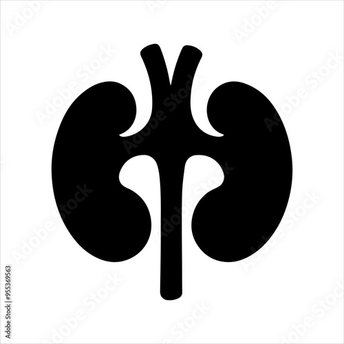 Kidney silhouette vector illustration design on white background.