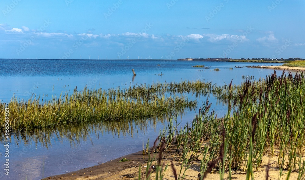 Quiet photo shot on the banks of the Wadden side on the island of Sylt