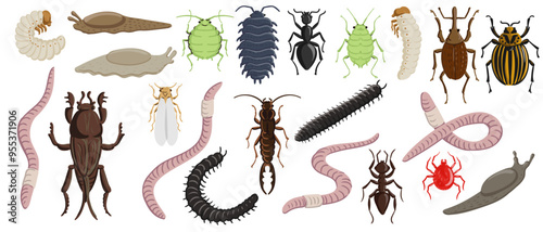 vector drawing set of garden pests, beetles, bugs, insects nd wirms isolated at white background, hand drawn illustration