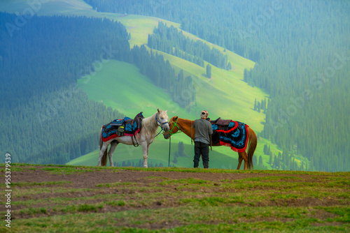 Photography Karajun Grassland, an attractive tourist attraction integrating grasslands, fore