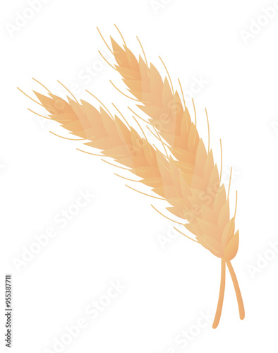Golden wheat vector illustration detailed closeup of ripe wheat grains in a flat vector illustration set against a white background portraying simplicity and agricultural significance