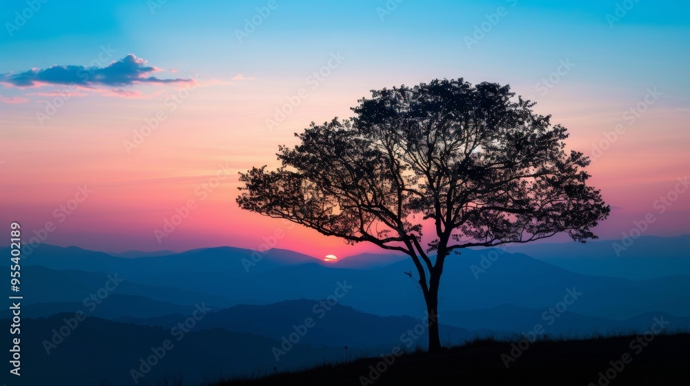 Obraz premium beautiful sunset in africa with a big shadow of a tree