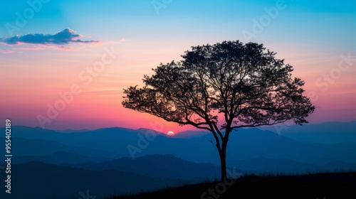 beautiful sunset in africa with a big shadow of a tree