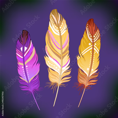 Hand drawn vector painted bird feathers isolated on white background. Colorfu...