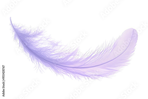 A single, soft, light purple feather isolated on a white transparent background.